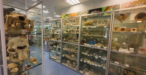 香港生物多樣性博物館