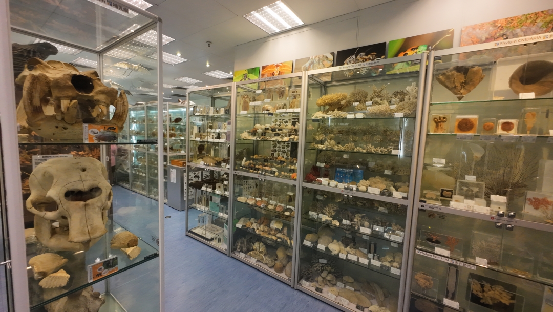 香港生物多樣性博物館