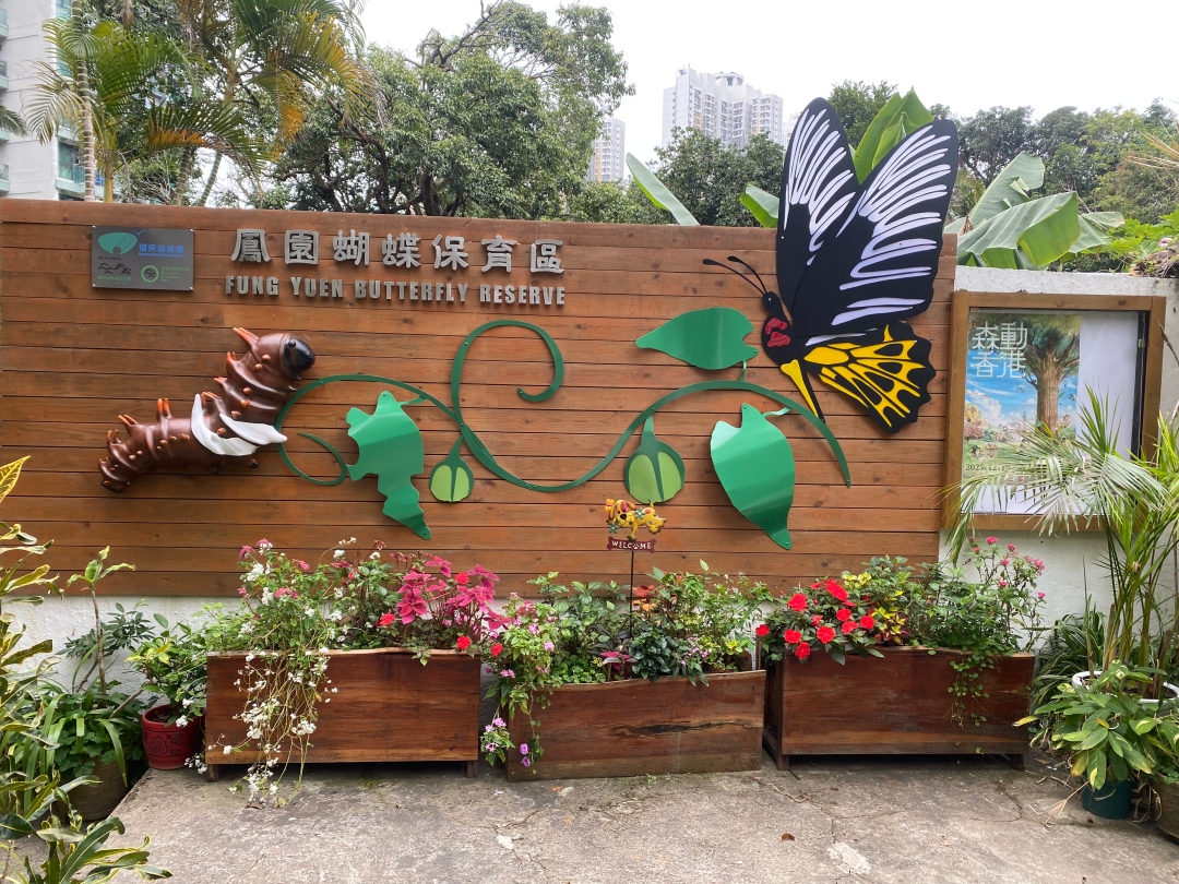 香港鳳園蝴蝶保育區