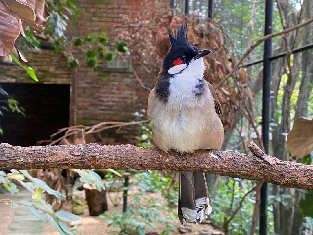 香港嘉道理農場暨植物園