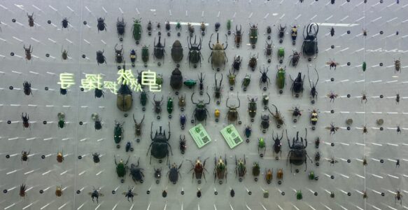 蘇州海關國門生物安全科普館