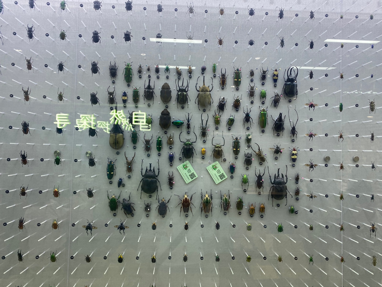 蘇州海關國門生物安全科普館
