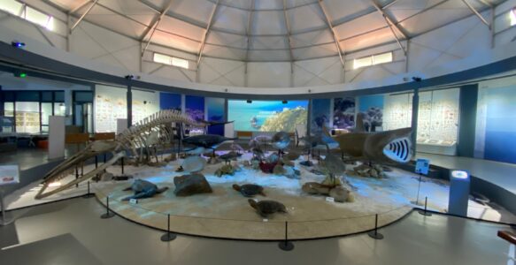 海洋生物博物館 of 浙江海洋大學 & 舟山博物館