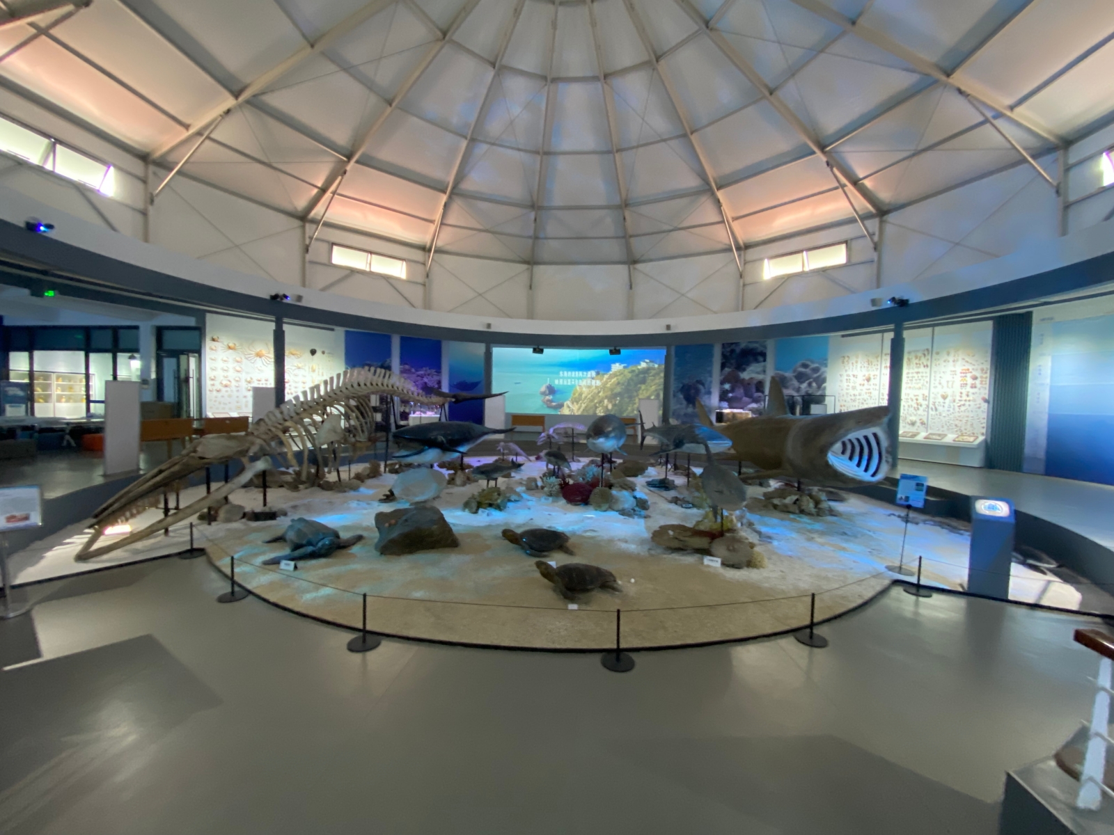 海洋生物博物館 of 浙江海洋大學 & 舟山博物館