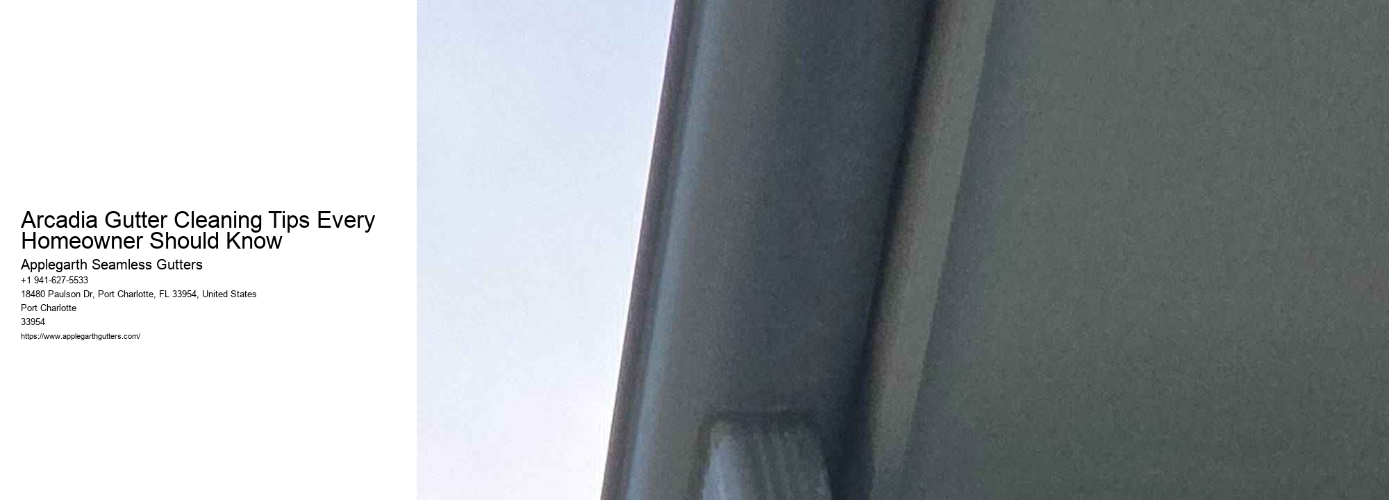 Arcadia Gutter Cleaning Tips Every Homeowner Should Know