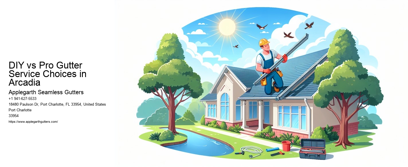 DIY vs Pro Gutter Service Choices in Arcadia