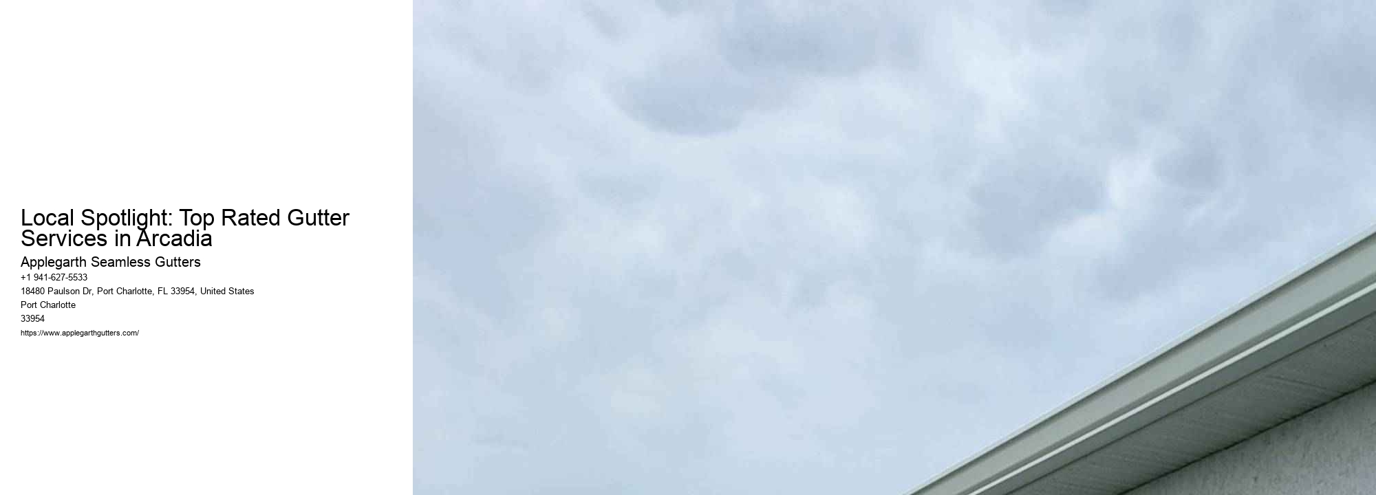 Local Spotlight: Top Rated Gutter Services in Arcadia