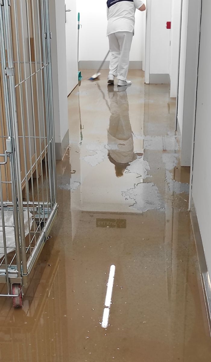 What are the most common cleaning tasks that need to be performed in gyms?