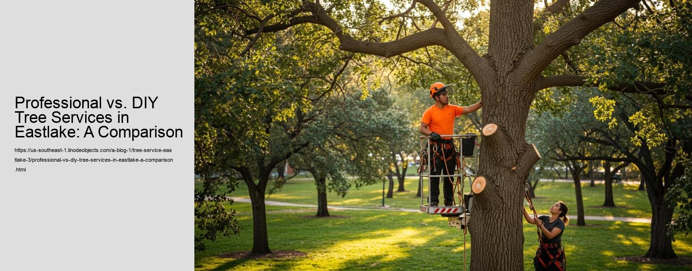 Professional vs. DIY Tree Services in Eastlake: A Comparison