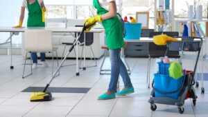 Chain Store Property Services Inlet Beach V.a