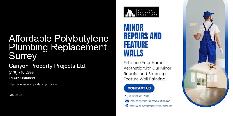 Affordable Polybutylene Plumbing Replacement Surrey Polybutylene Plumbing Services