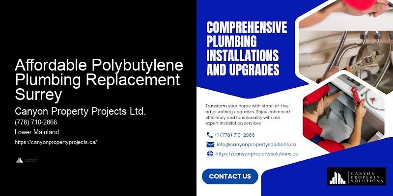 Comprehensive Plumbing for Polybutylene Pipes Affordable Polybutylene Plumbing Replacement Surrey