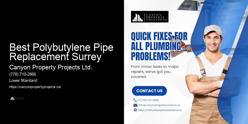 Polybutylene Pipe Replacement for Commercial Properties Best Polybutylene Pipe Replacement Surrey