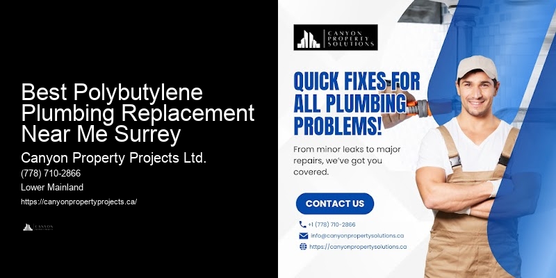 Reliable Polybutylene Pipe Replacement and Repair Near Me
