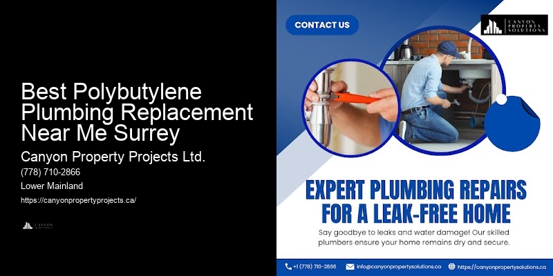 Polybutylene Plumbing Safety Tips Best Polybutylene Plumbing Replacement Near Me Surrey