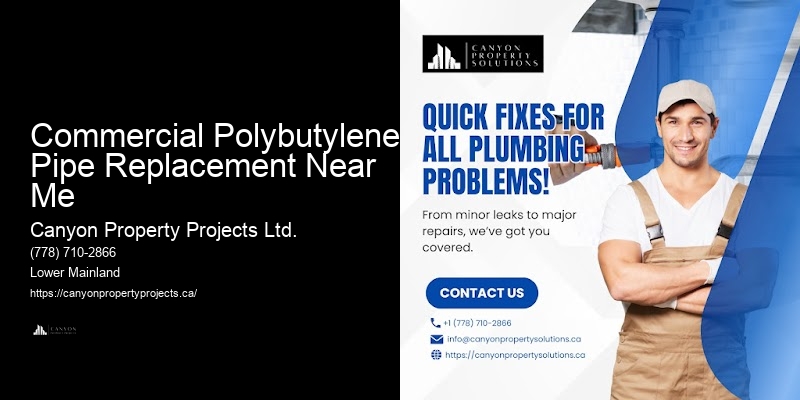 Licensed Polybutylene Pipe Installers Commercial Polybutylene Pipe Replacement Near Me