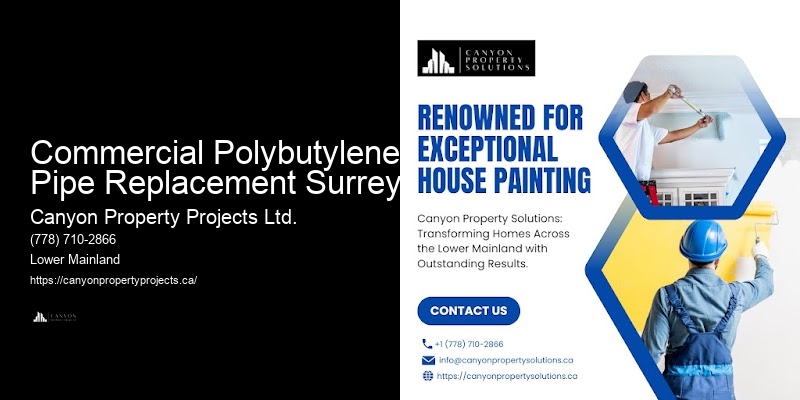 Polybutylene Pipe Professionals Commercial Polybutylene Pipe Replacement Surrey