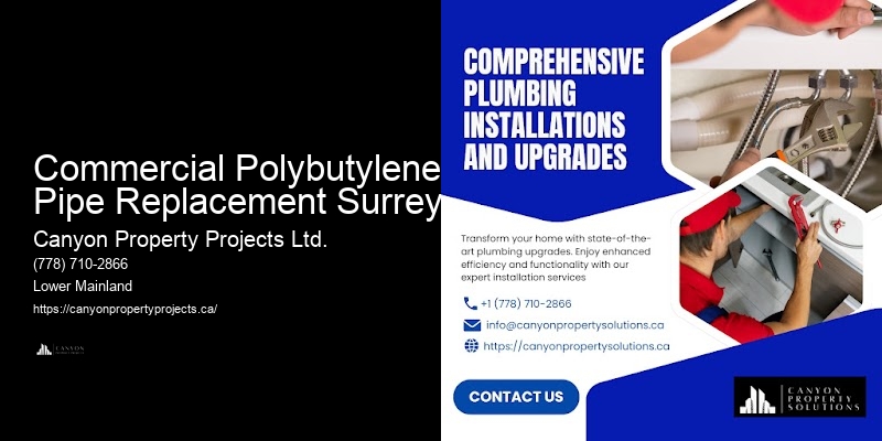 Expert Polybutylene Plumbing Commercial Polybutylene Pipe Replacement Surrey