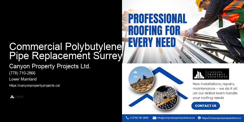 Plumbing for Polybutylene Pipe Replacement Commercial Polybutylene Pipe Replacement Surrey