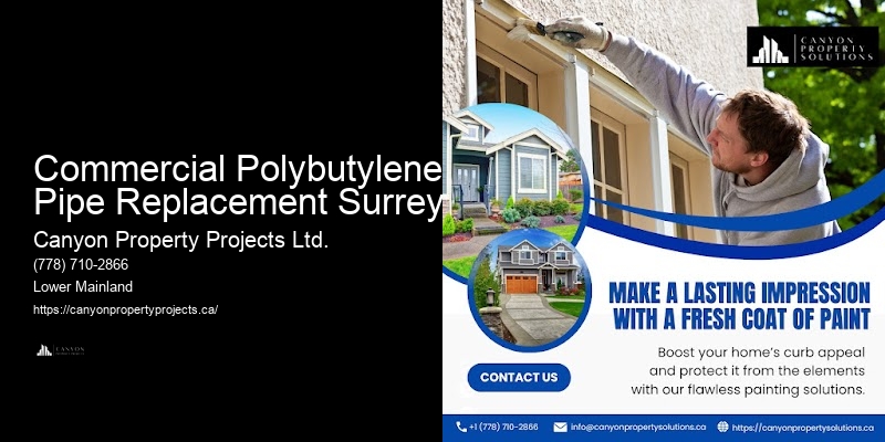 Professional Polybutylene Plumbing Replacement Near Me