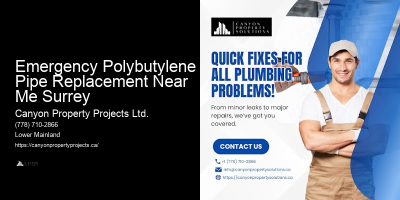 Emergency Polybutylene Pipe Replacement Near Me Surrey