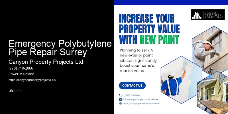 Polybutylene Pipe Inspection Emergency Polybutylene Pipe Repair Surrey