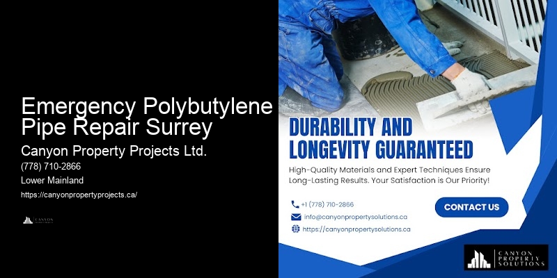 Polybutylene Pipe Replacement Services Near Me Emergency Polybutylene Pipe Repair Surrey