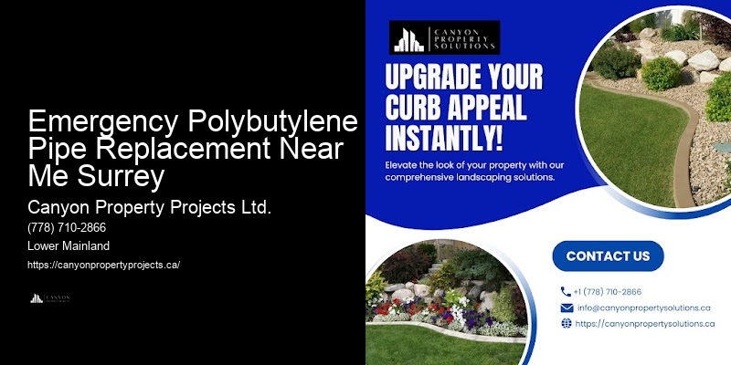 Polybutylene Pipe Problems Emergency Polybutylene Pipe Replacement Near Me Surrey