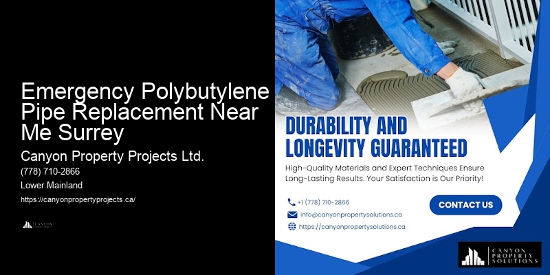 Polybutylene Pipe Removal Professionals Emergency Polybutylene Pipe Replacement Near Me Surrey