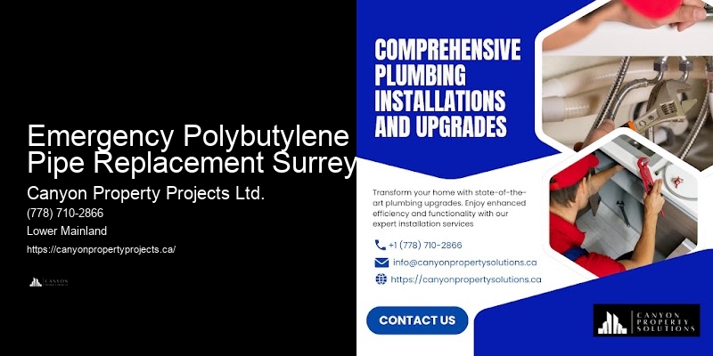 Full-Service Polybutylene Pipe Replacement Emergency Polybutylene Pipe Replacement Surrey