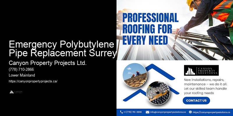 Professional Polybutylene Pipe Replacement for Residential Properties