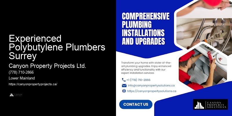 Experienced Polybutylene Plumbers Surrey’s Top Polybutylene Pipe Companies