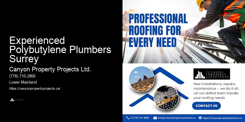 Expert Polybutylene Pipe Leak Services Experienced Polybutylene Plumbers Surrey