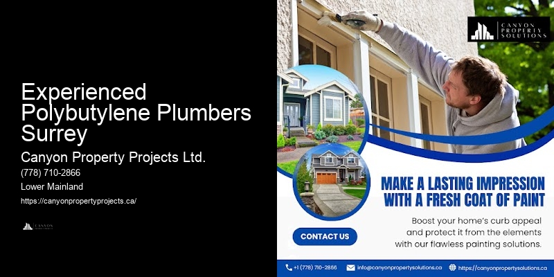 Experienced Polybutylene Pipe Replacement Teams Experienced Polybutylene Plumbers Surrey
