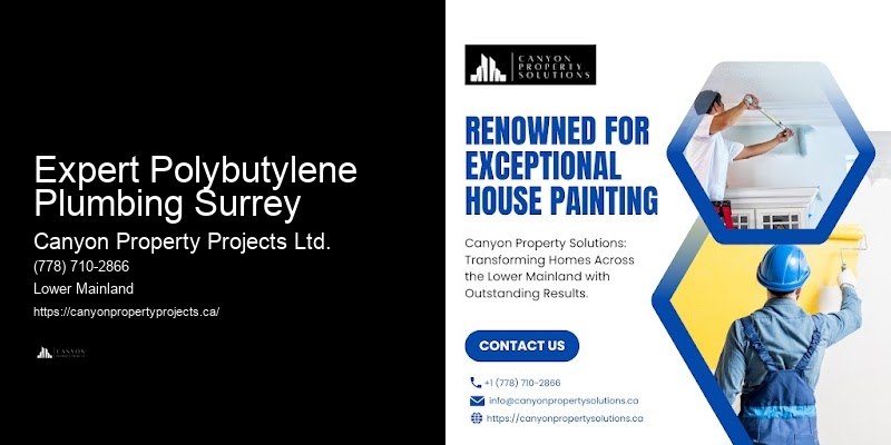Affordable Polybutylene Pipe Replacement Expert Polybutylene Plumbing Surrey