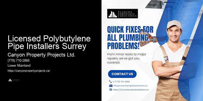 Best Polybutylene Plumbing Replacement Near Me Licensed Polybutylene Pipe Installers Surrey