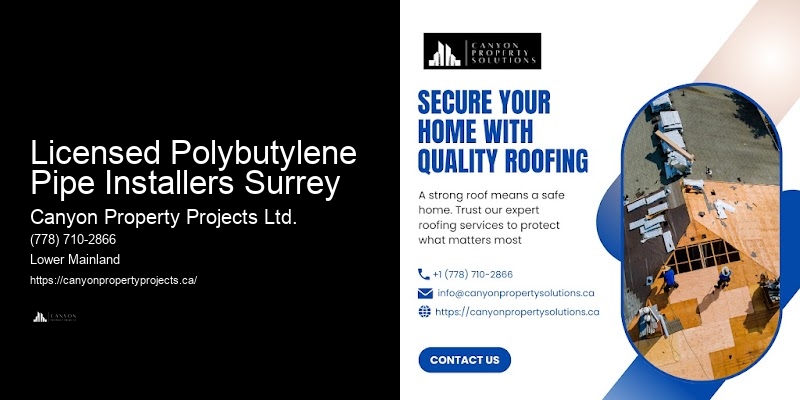 Polybutylene Plumbing Replacement Plan Licensed Polybutylene Pipe Installers Surrey