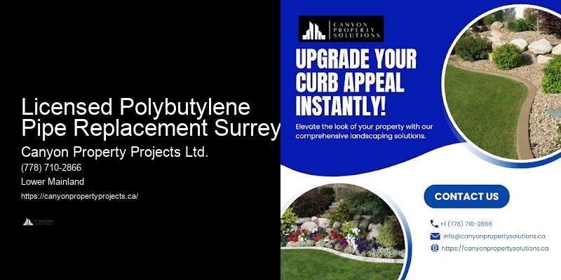 Emergency Polybutylene Pipe Replacement Licensed Polybutylene Pipe Replacement Surrey