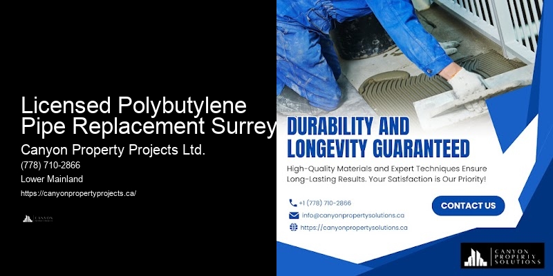 Polybutylene Pipe Removal Professionals Licensed Polybutylene Pipe Replacement Surrey