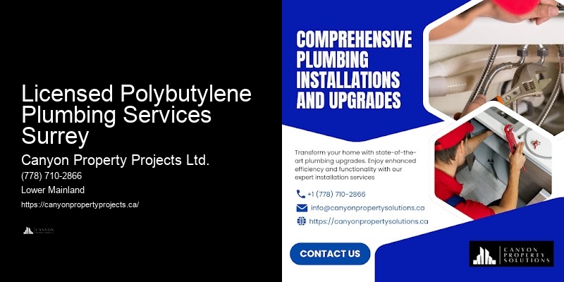 Polybutylene Plumbing Replacement Services Licensed Polybutylene Plumbing Services Surrey