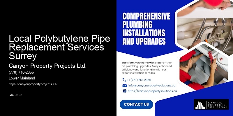 Quality Polybutylene Plumbing Replacement at Competitive Prices