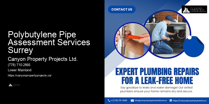 Polybutylene Pipe Installation Costs Polybutylene Pipe Assessment Services Surrey