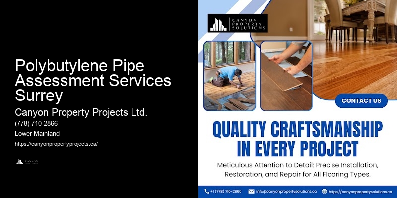Polybutylene Pipe Assessment Services Surrey Polybutylene Plumbing Experts