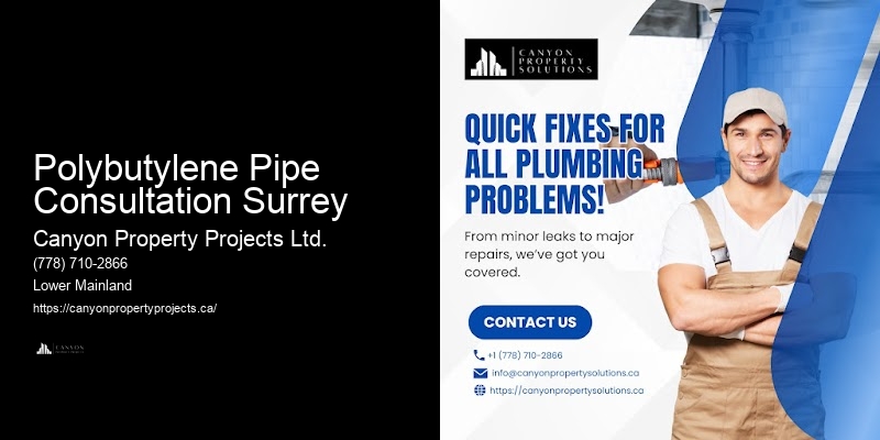 Polybutylene Pipe Retrofitting Polybutylene Pipe Consultation Surrey