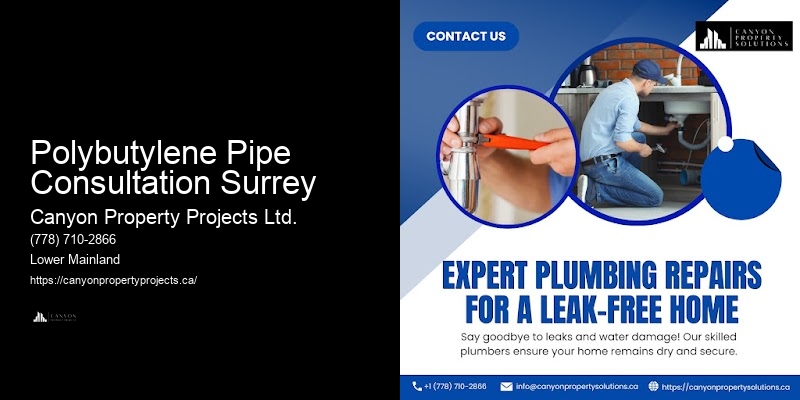 Certified Polybutylene Pipe Consultation Surrey Polybutylene Replacement Experts