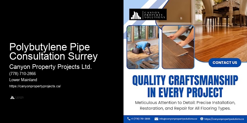 Detailed Polybutylene Replacement Service Polybutylene Pipe Consultation Surrey