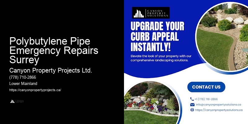 Polybutylene Pipe Emergency Repairs Surrey Plumbing Repair for Polybutylene Pipes