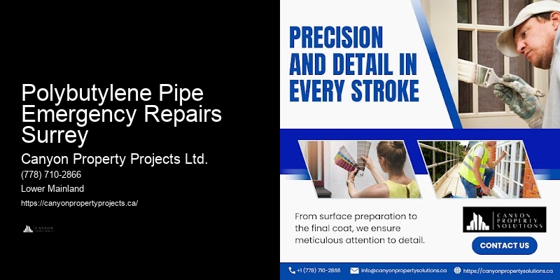 Residential Polybutylene Pipe Replacement Near Me