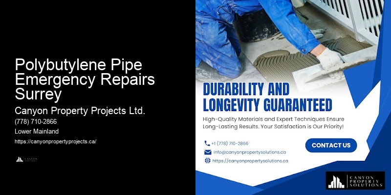 Certified Contractors for Polybutylene Pipe Replacement Near Me