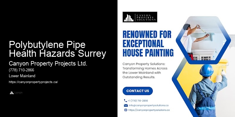 Polybutylene Plumbing Assessment Polybutylene Pipe Health Hazards Surrey